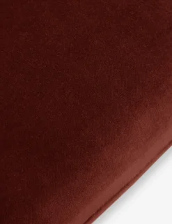 Charlotte Velvet Pillow