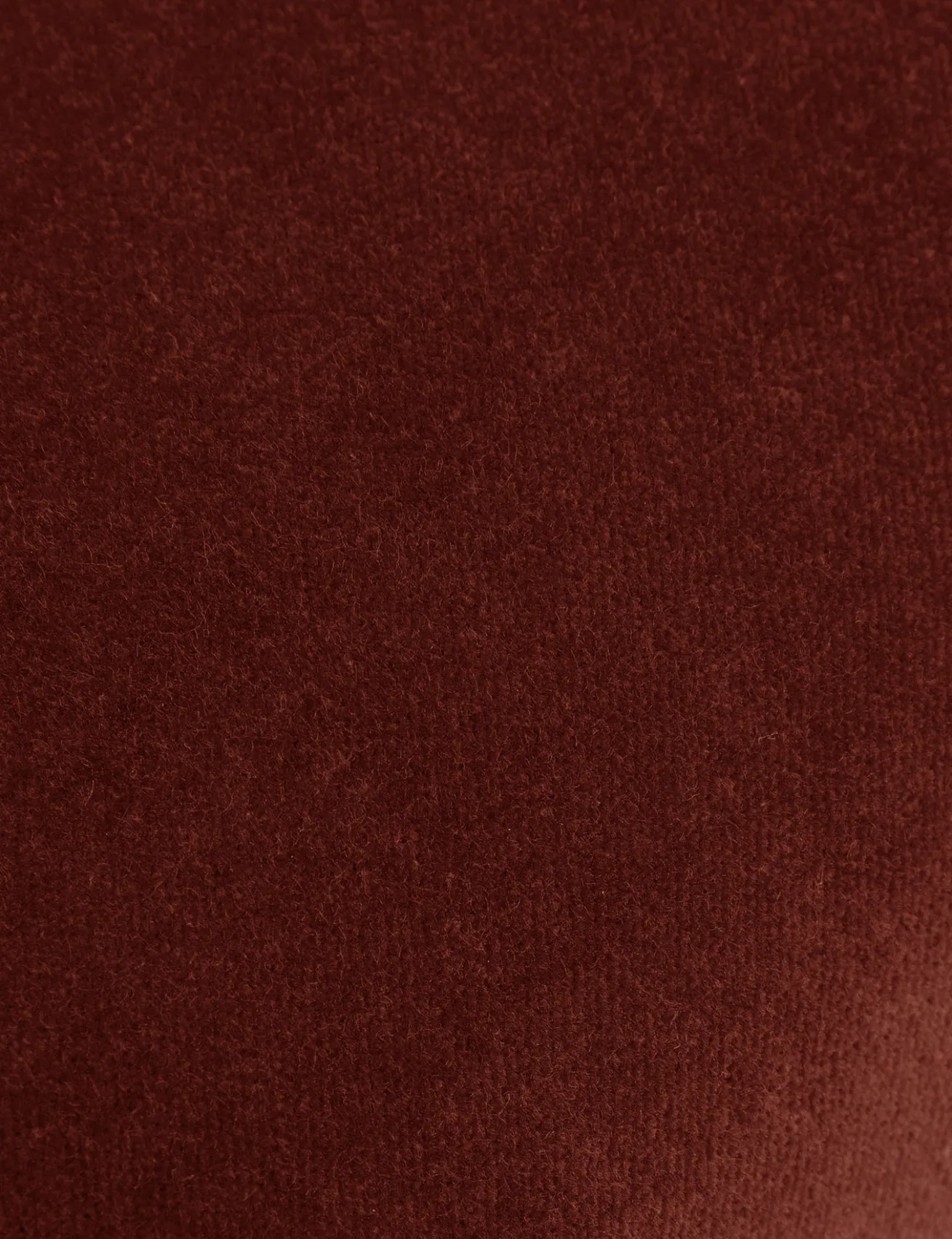 Charlotte Velvet Pillow
