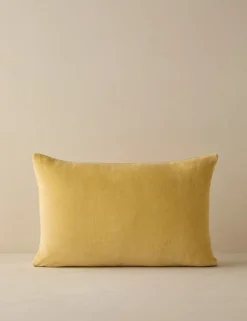 Charlotte Velvet Pillow