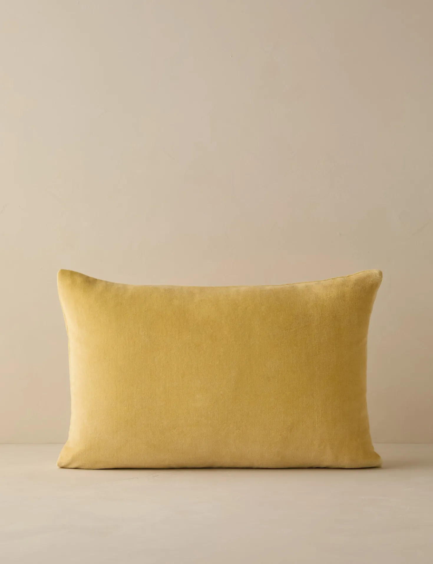 Charlotte Velvet Pillow