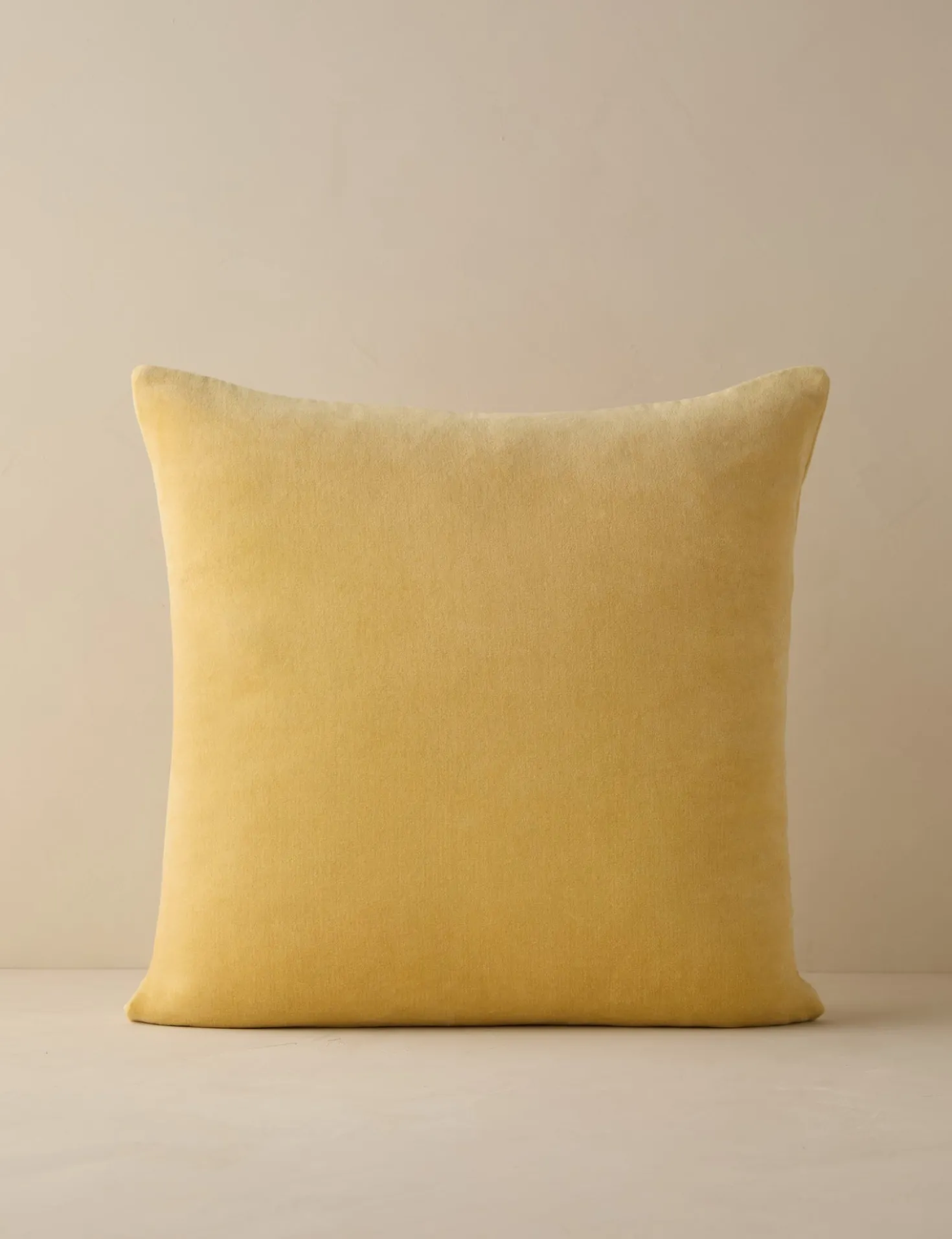 Charlotte Velvet Pillow
