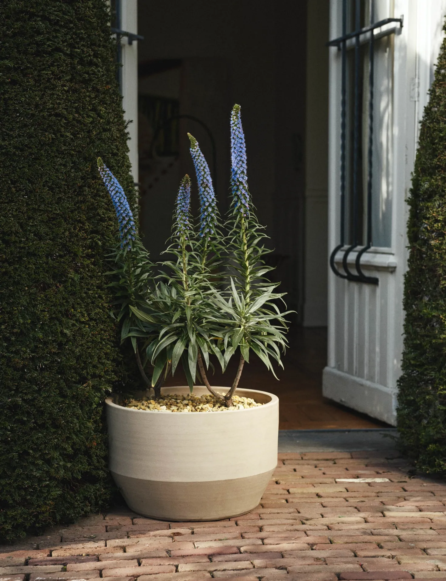 Construct Drum Planter by Marie Michielssen x Serax