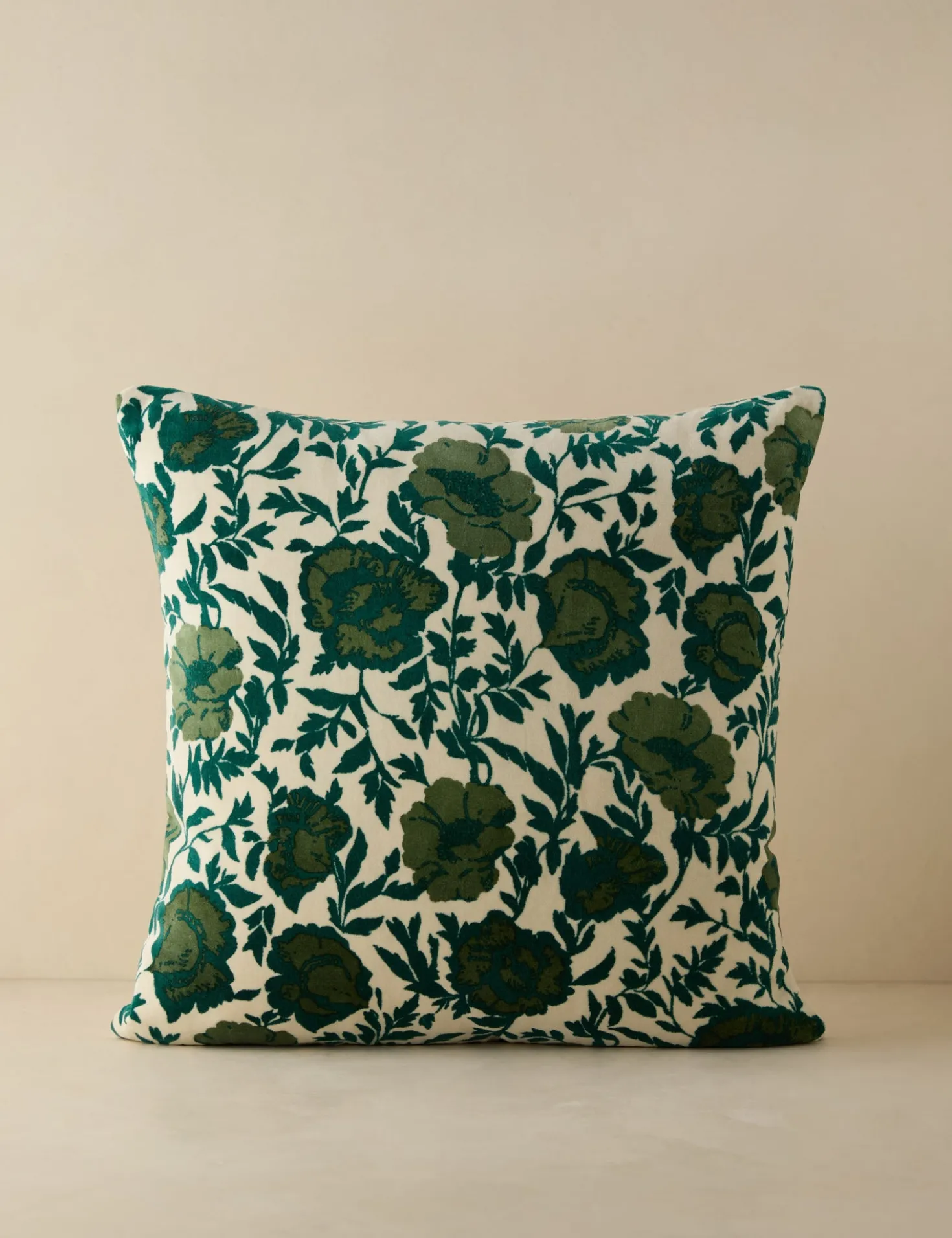 Corabel Velvet Pillow