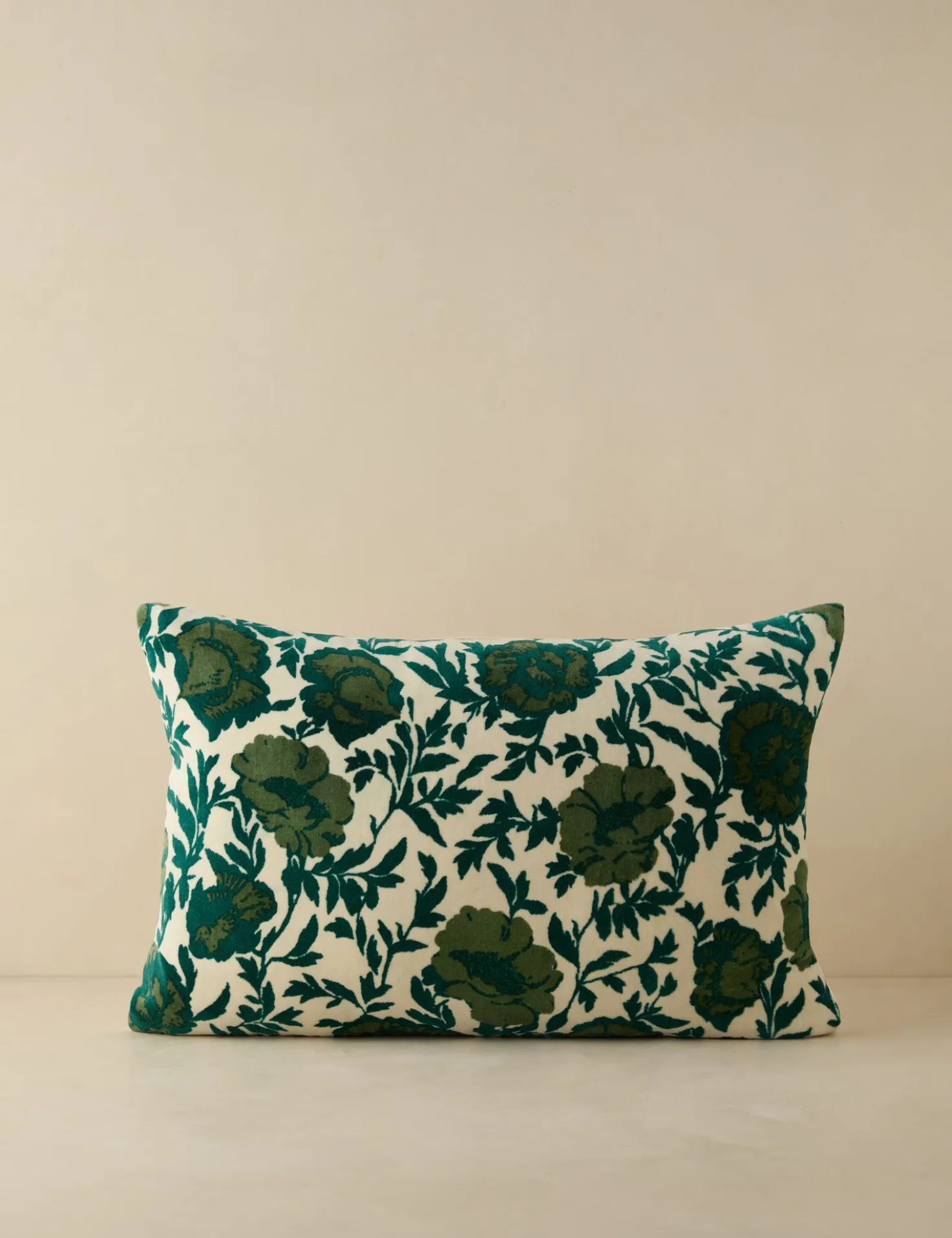 Corabel Velvet Pillow