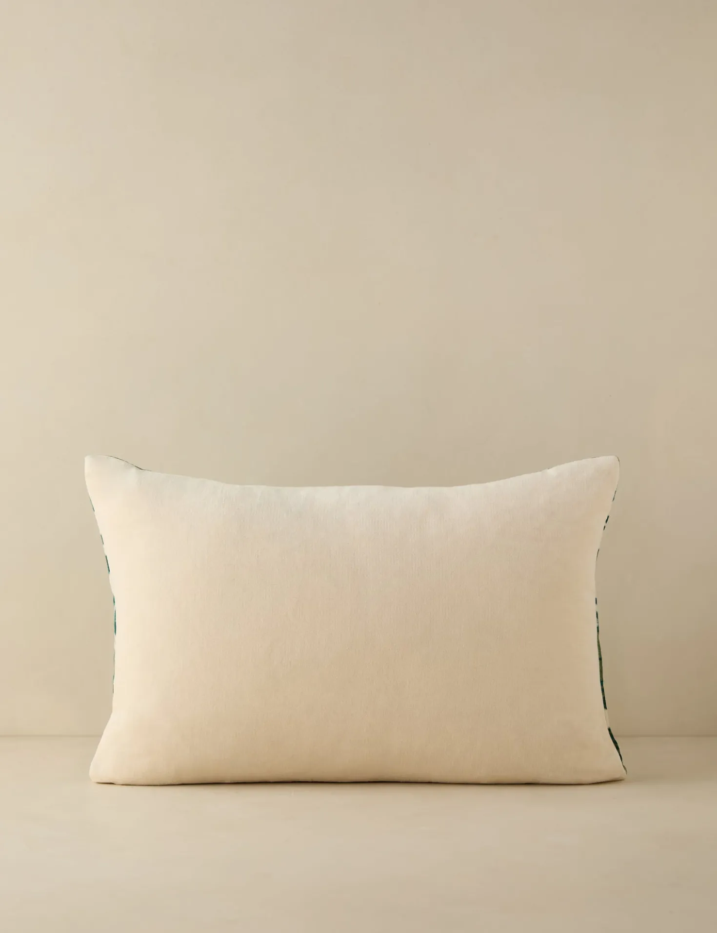 Corabel Velvet Pillow