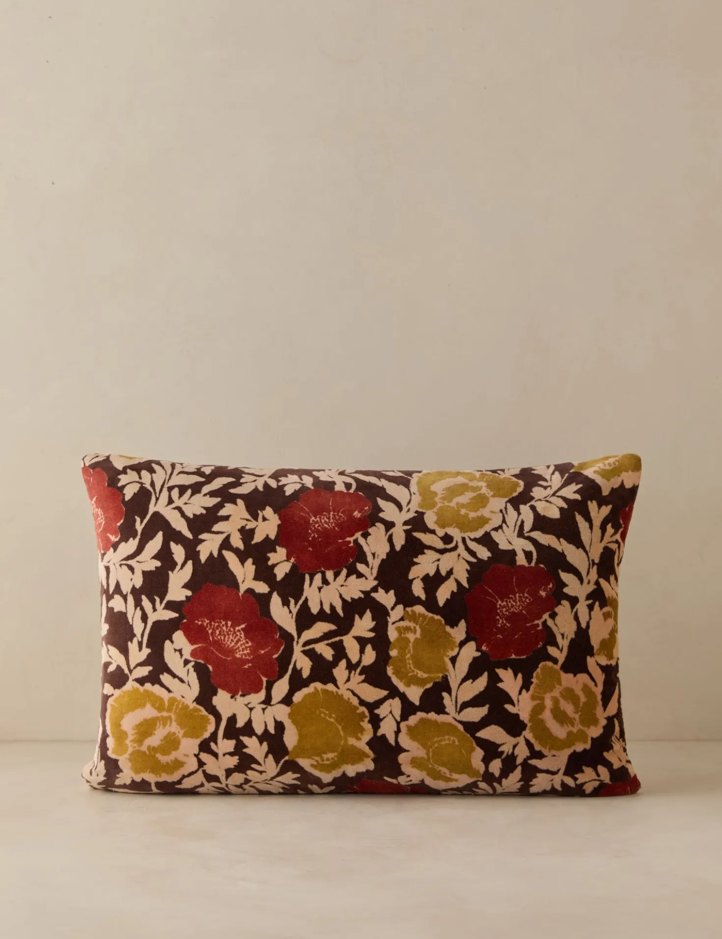 Corabel Velvet Pillow