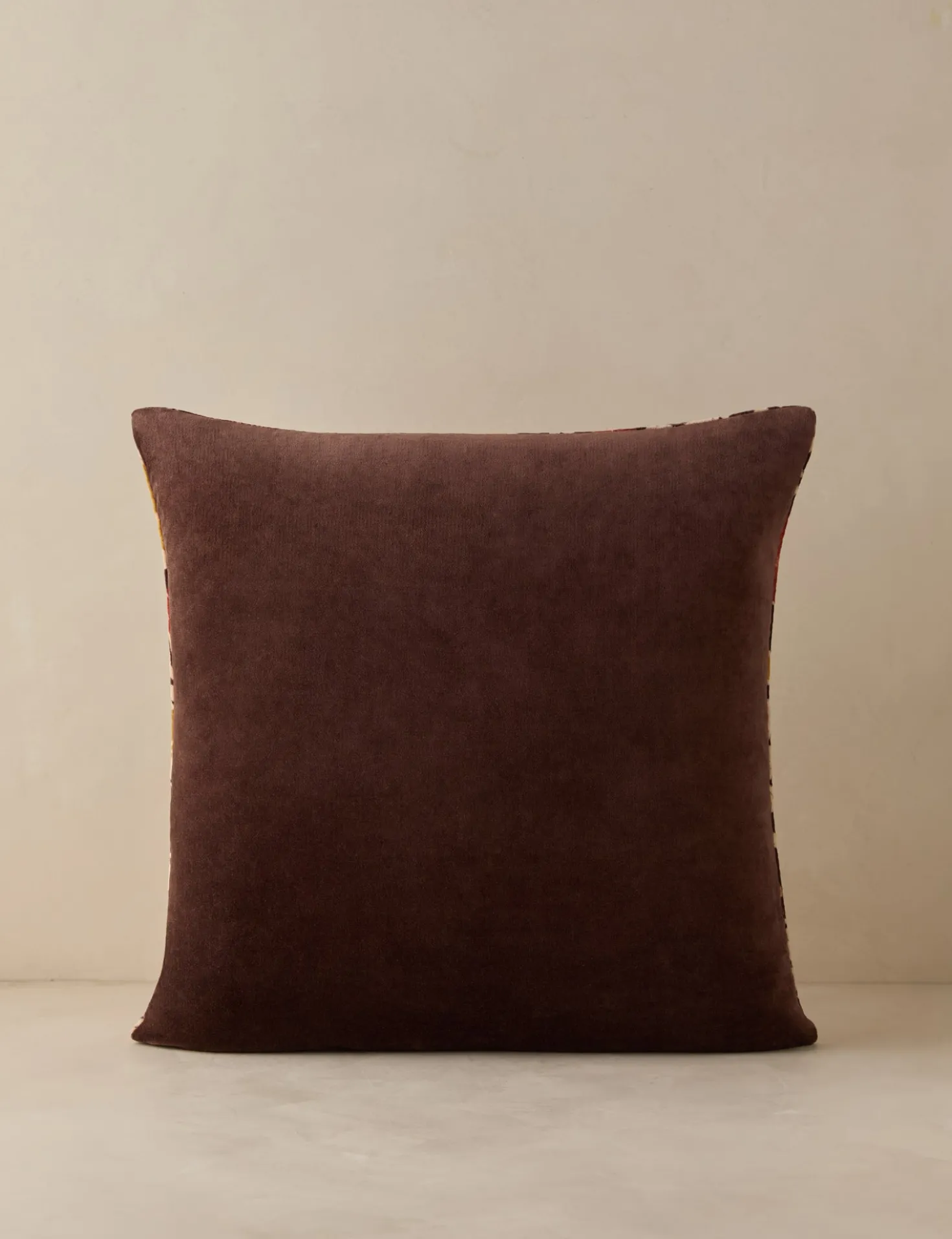 Corabel Velvet Pillow