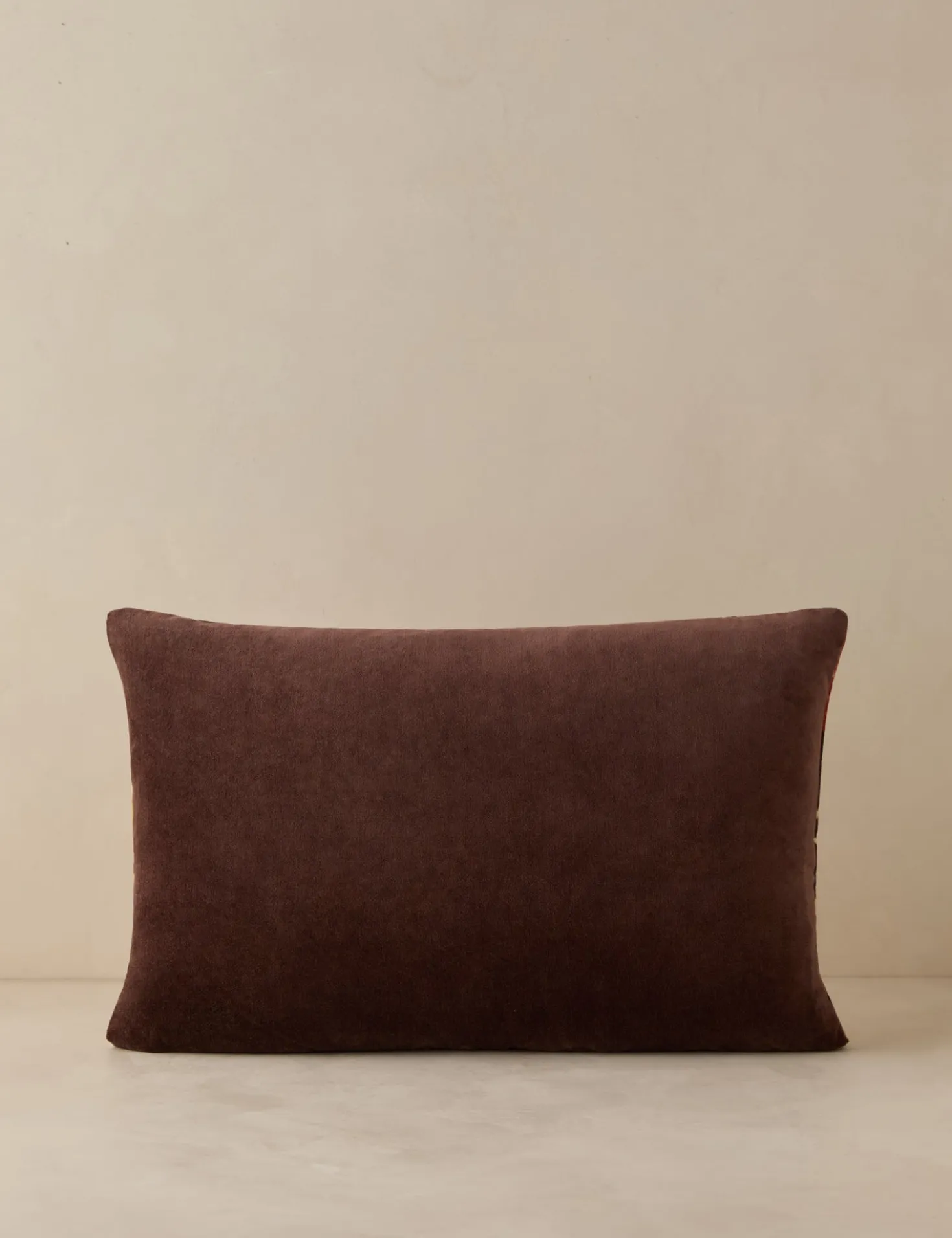 Corabel Velvet Pillow