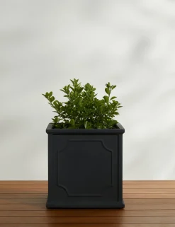 Cumberland Planter by Campania International
