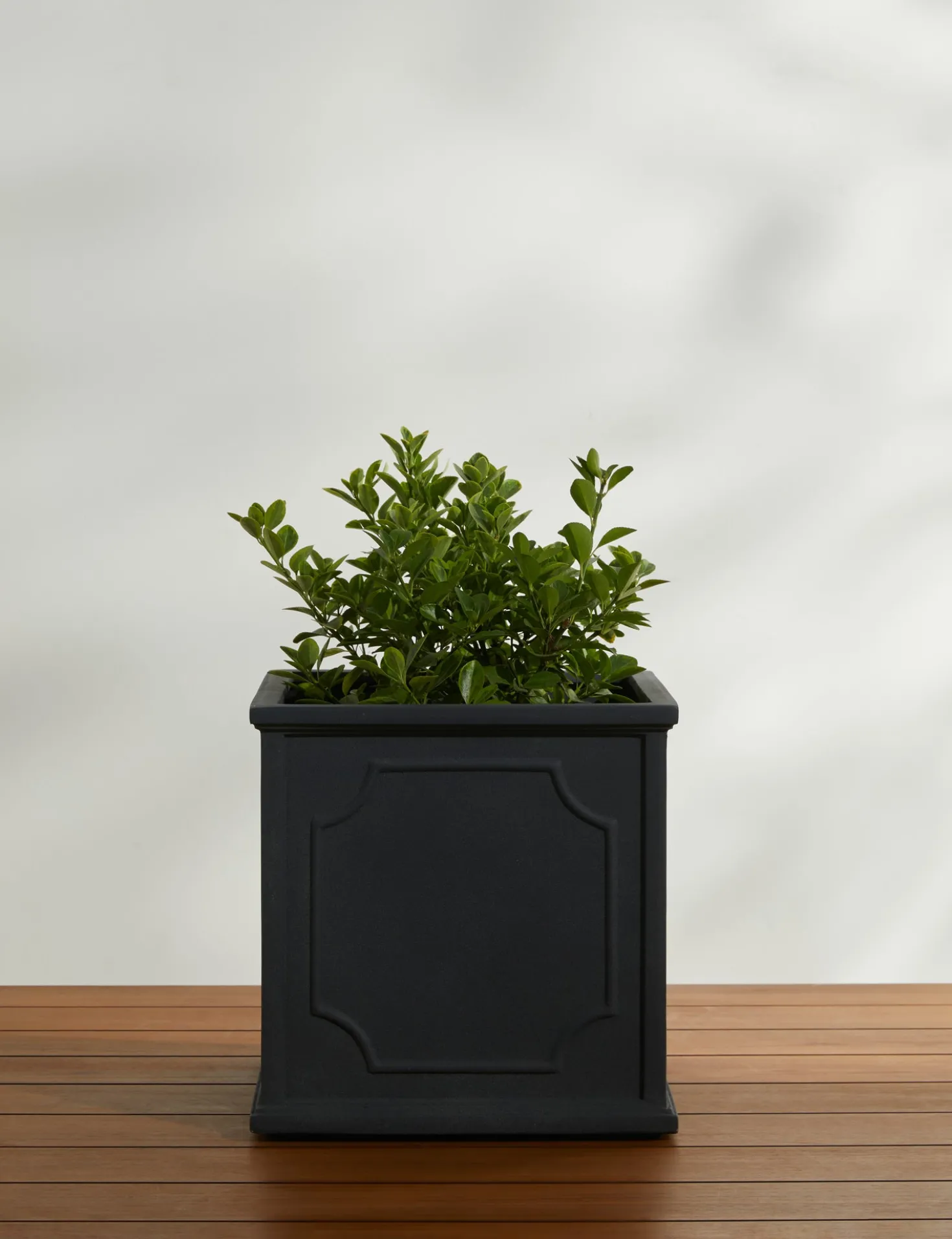 Cumberland Planter by Campania International