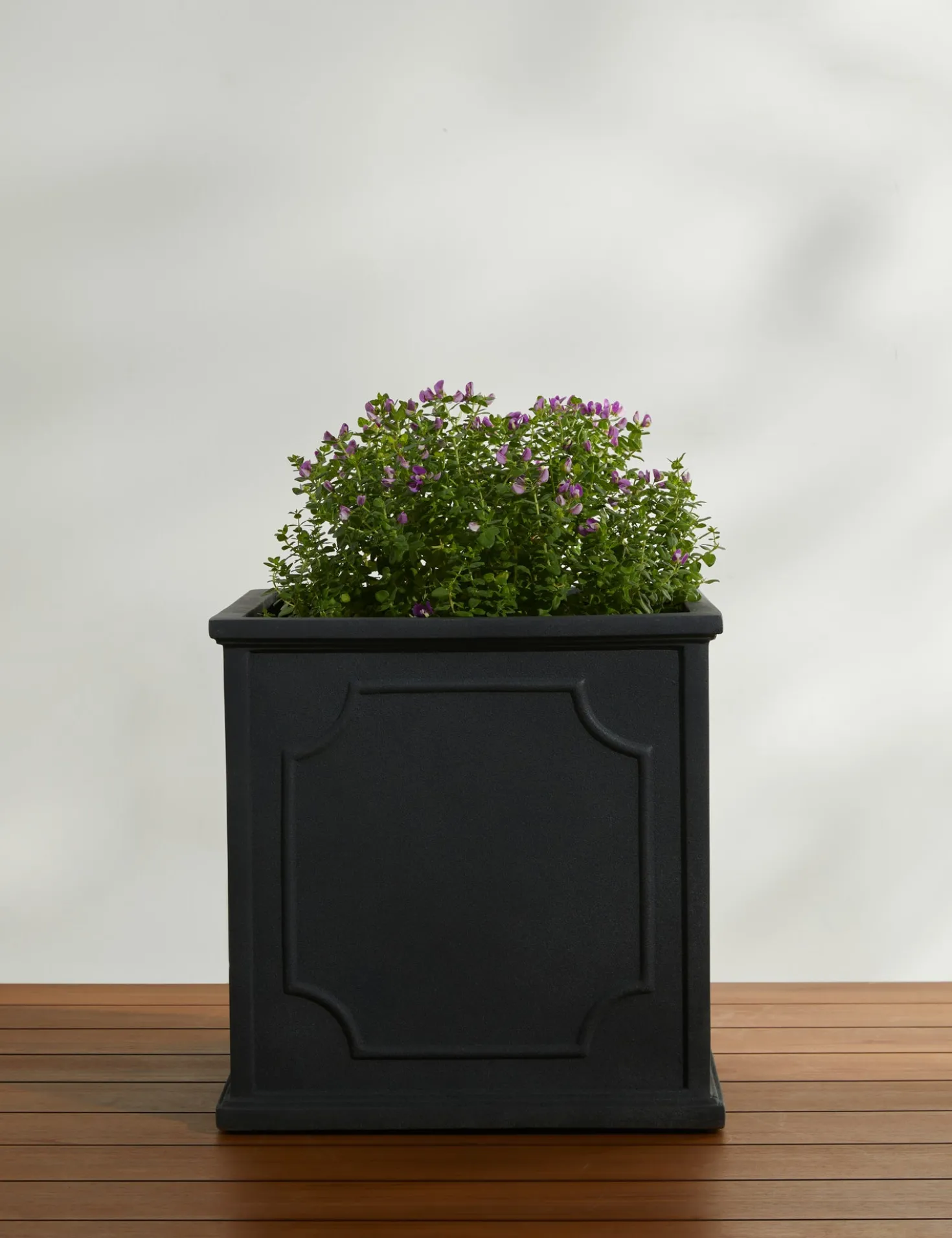 Cumberland Planter by Campania International