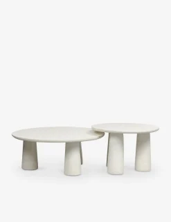 Dalila Nesting Outdoor Coffee Table (Set of 2)