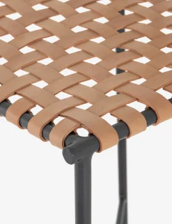 Daniel Leather Bar And Counter Stool