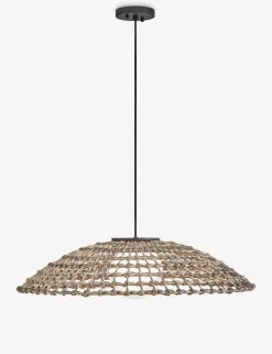 Dejana Outdoor Pendant Light
