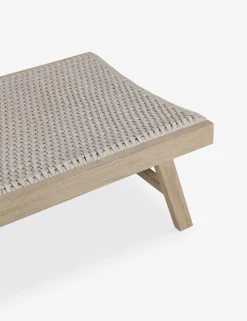 Delmar Indoor / Outdoor Chaise