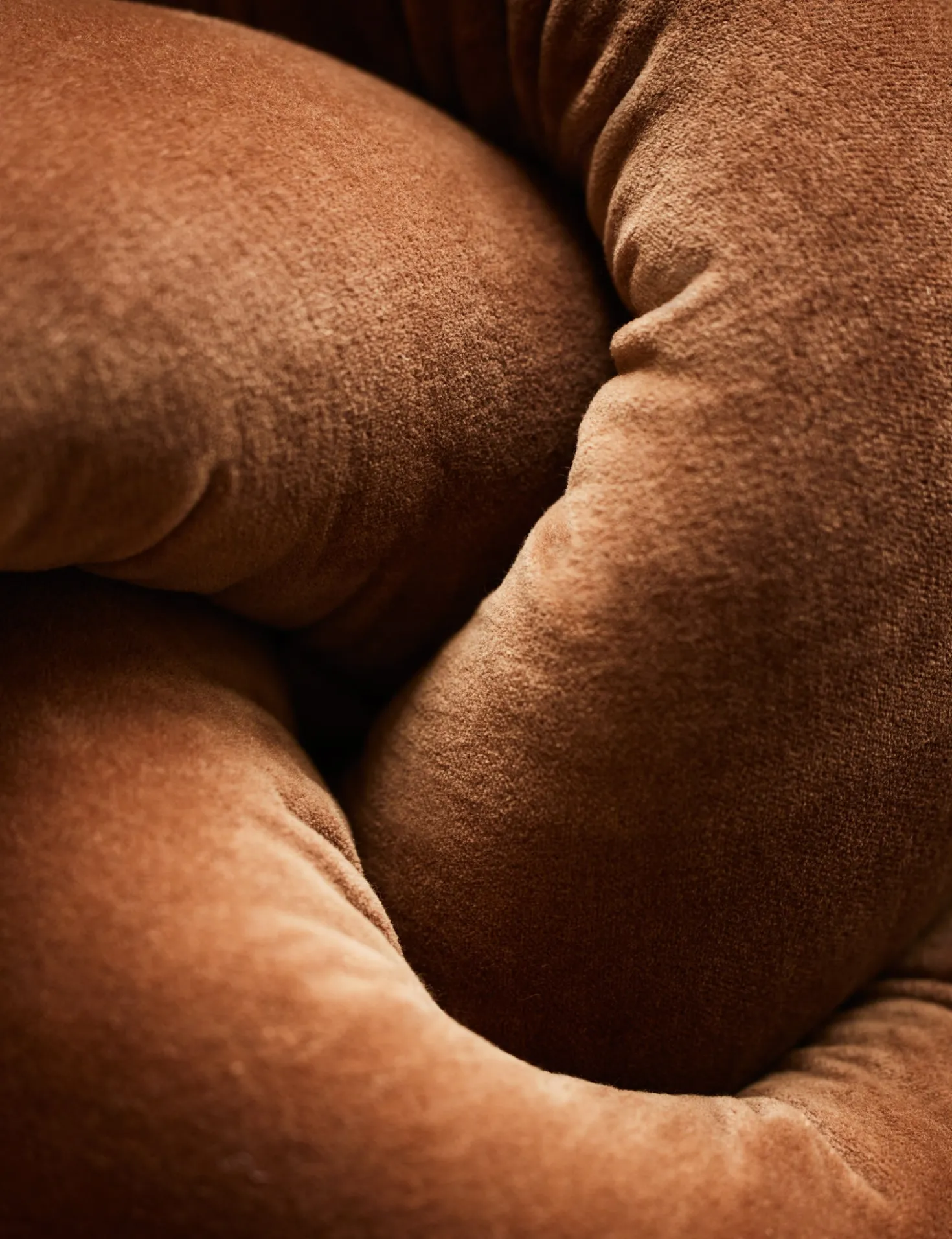Dewey Velvet Pillow