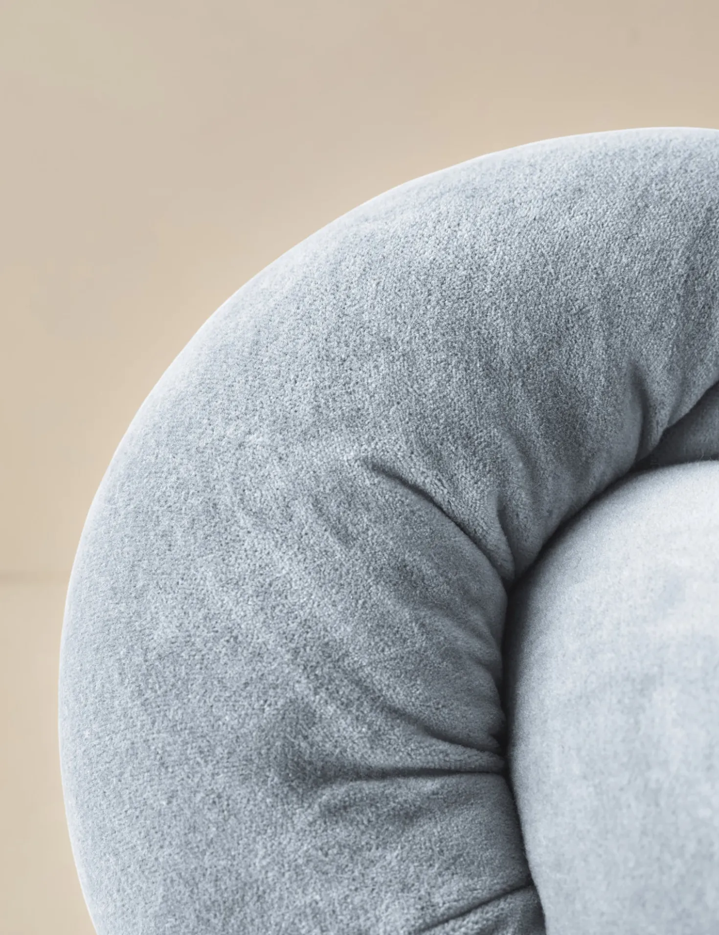 Dewey Velvet Pillow