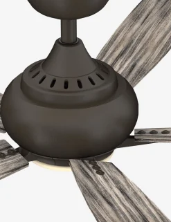 Donati Ceiling Fan + Light