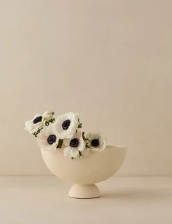 Donato Bowl