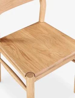 Drummond Dining Chair (Set of 2)
