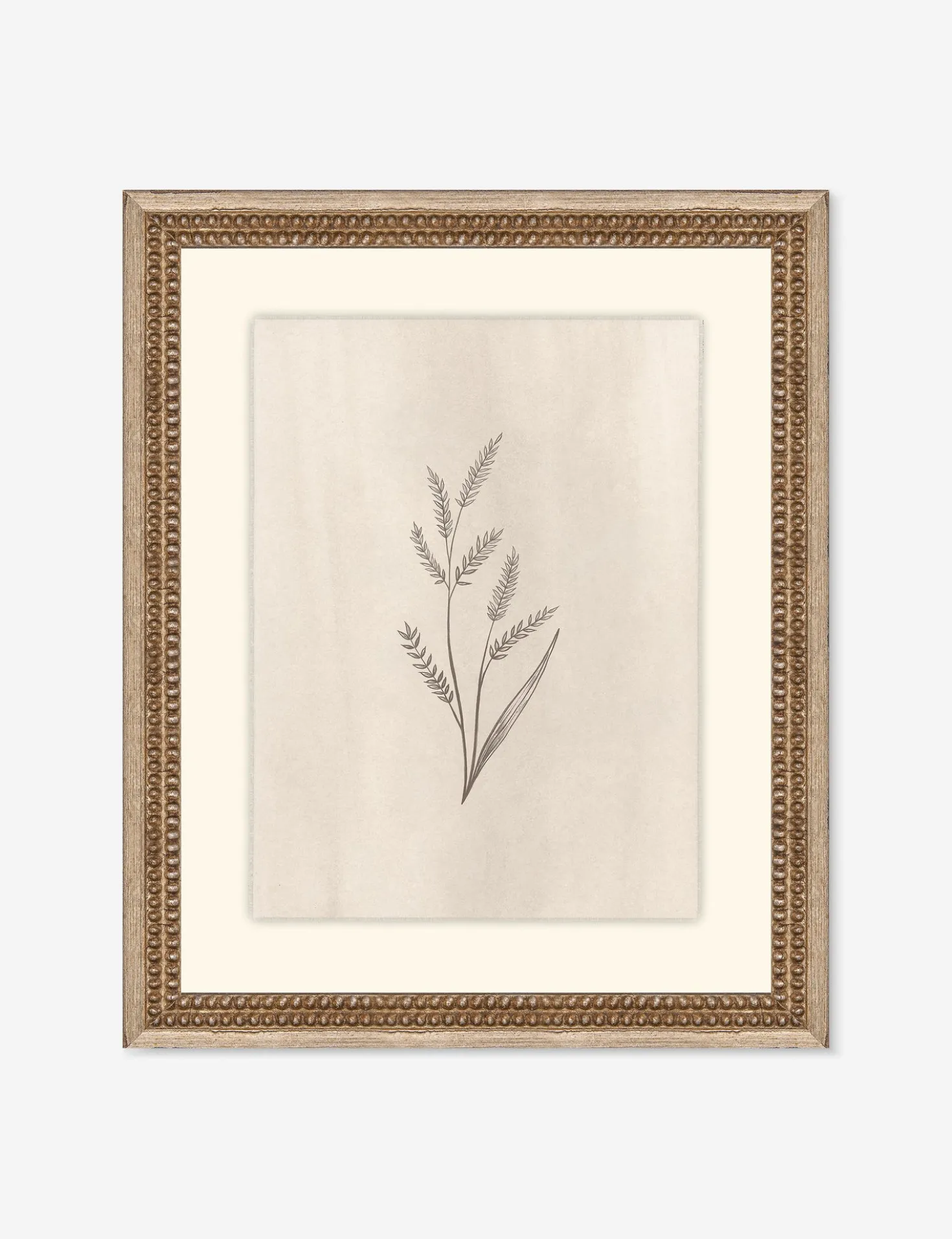 Elegant Botanical II Wall Art by Makai Howell
