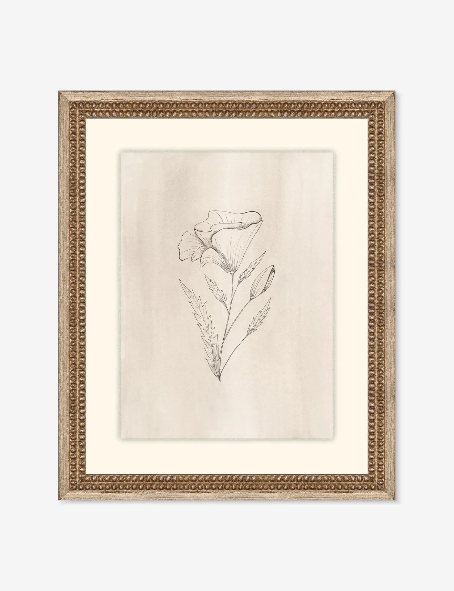 Elegant Botanical III Wall Art by Makai Howell