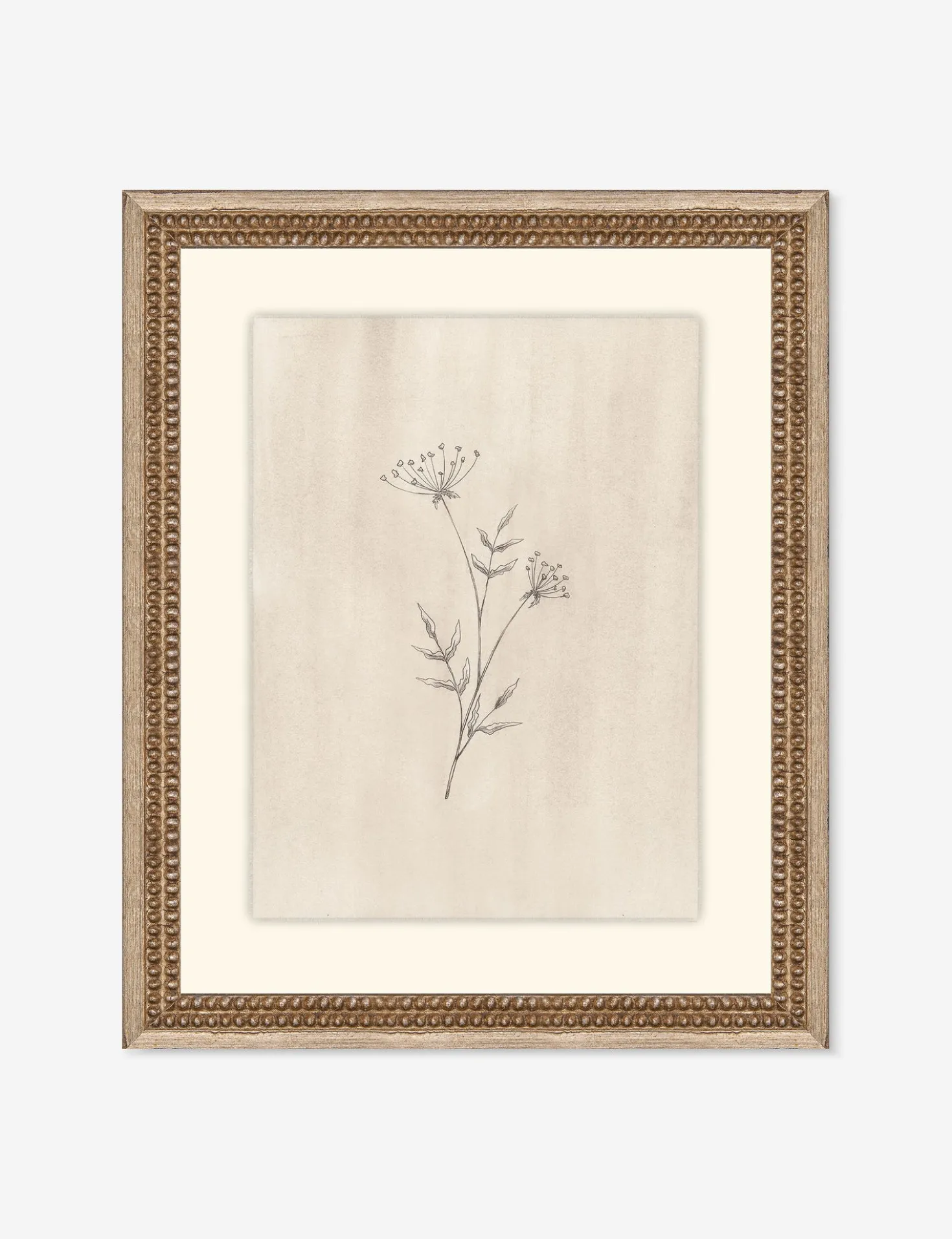 Elegant Botanical IV Wall Art by Makai Howell