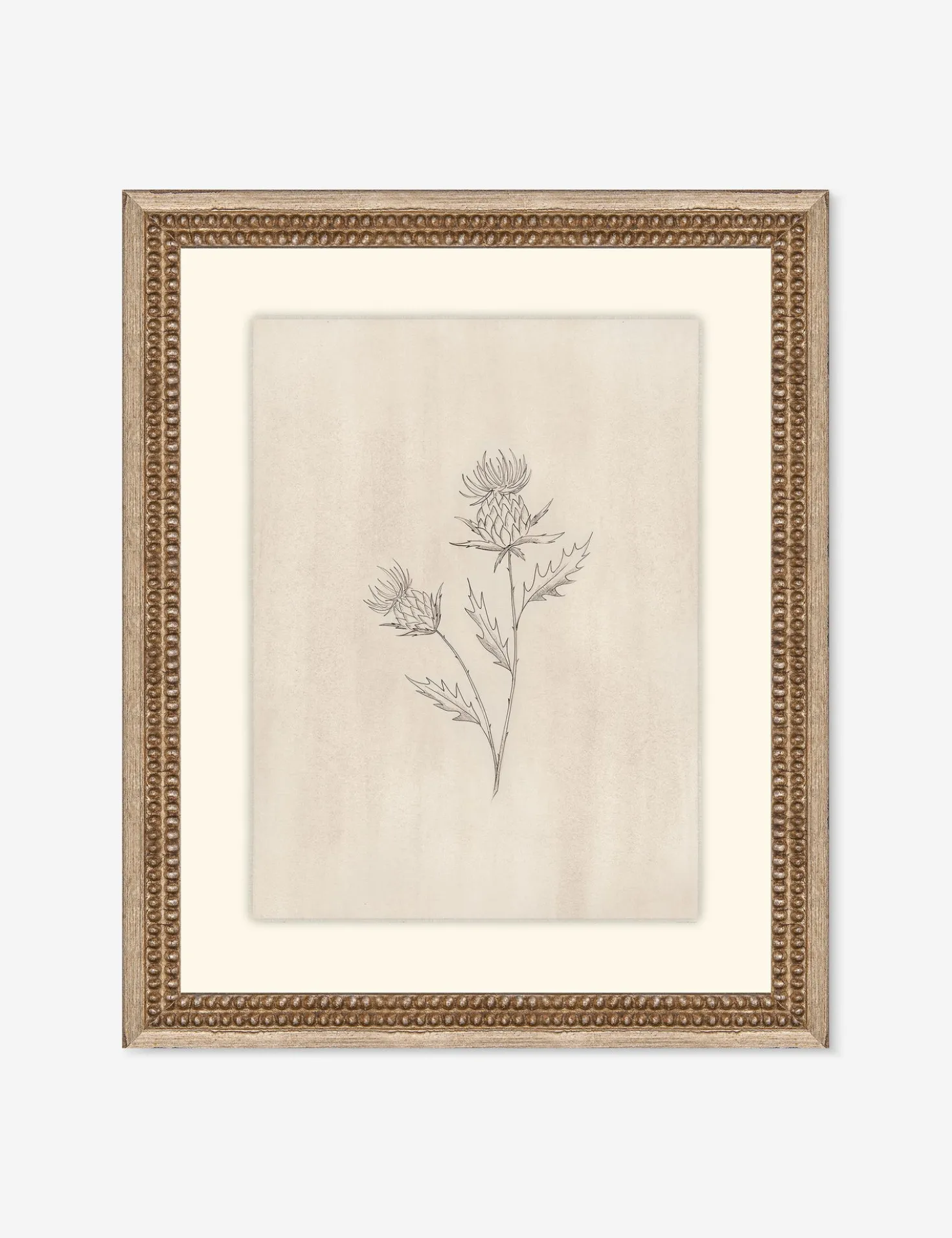 Elegant Botanical V Wall Art by Makai Howell
