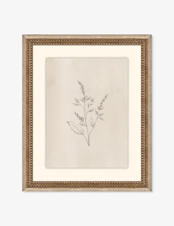 Elegant Botanical VI Wall Art by Makai Howell