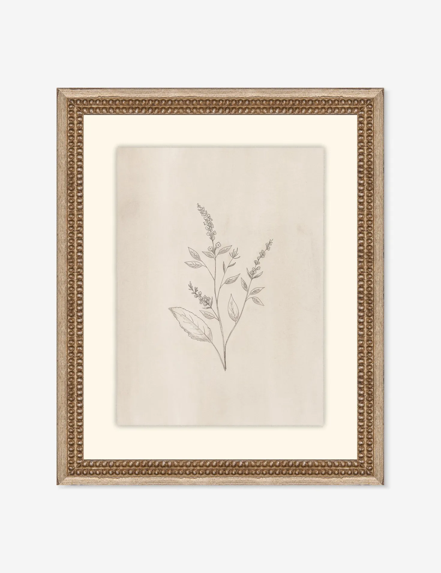 Elegant Botanical VI Wall Art by Makai Howell