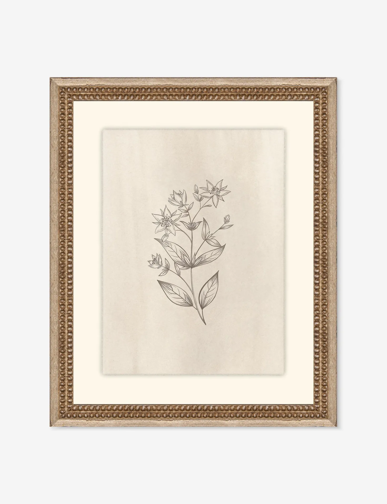 Elegant Botanical VII Wall Art by Makai Howell