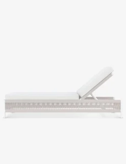 Esparza Indoor / Outdoor Chaise