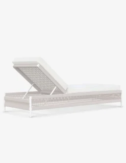 Esparza Indoor / Outdoor Chaise