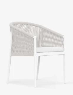 Esparza Indoor / Outdoor Dining Arm Chair