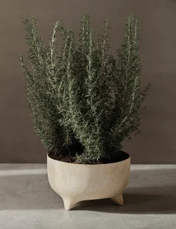 Evoke Pot by Ferm Living