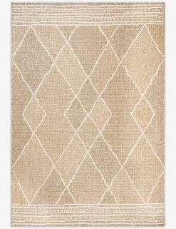 Faiyaz Indoor / Outdoor Rug