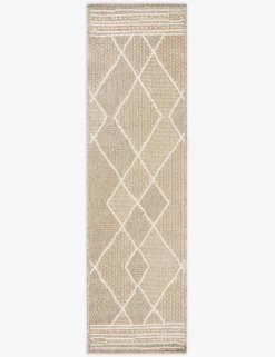 Faiyaz Indoor / Outdoor Rug