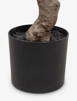 Faux Aralia Tree
