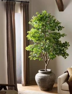 Faux Aralia Tree