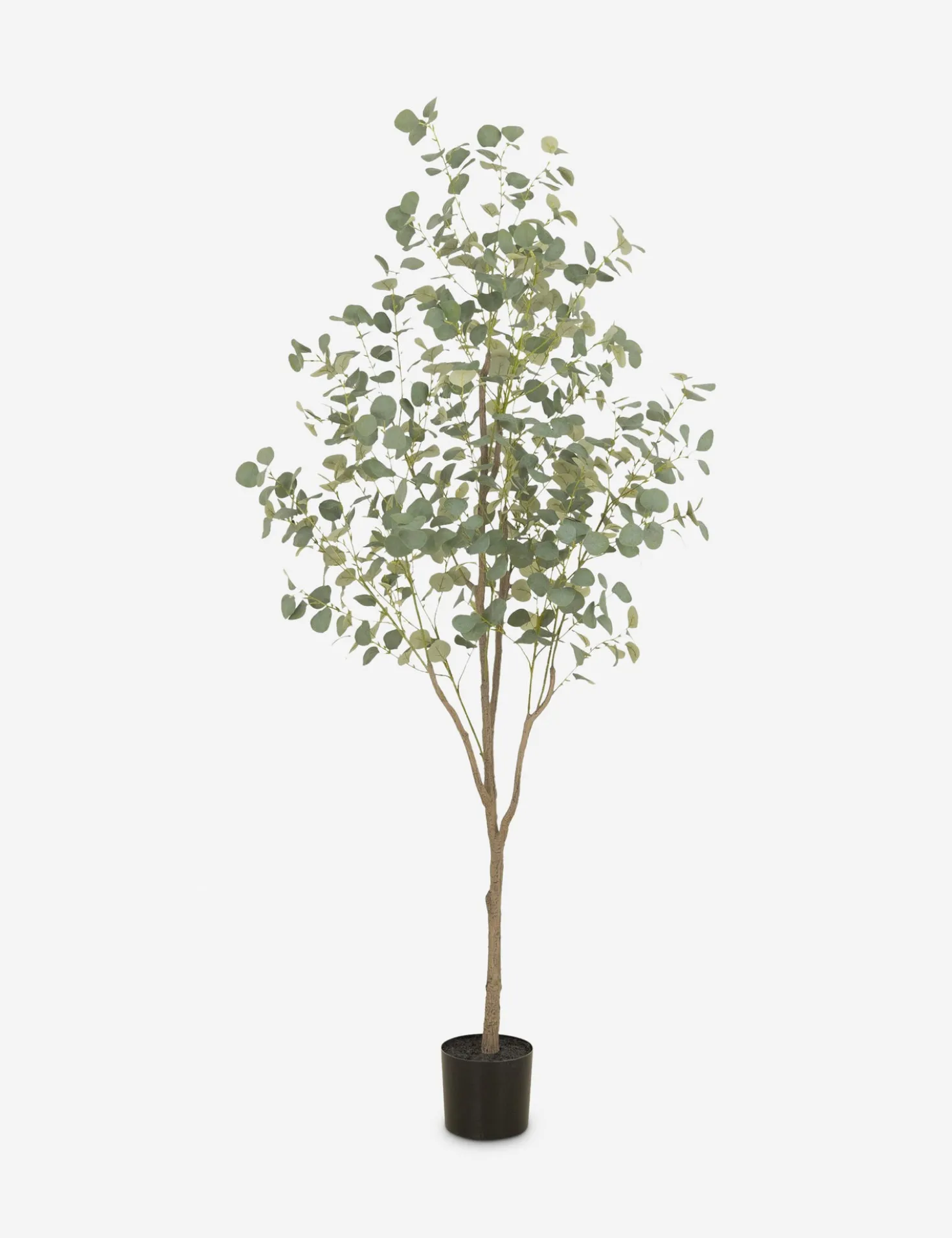 Faux Eucalyptus Tree