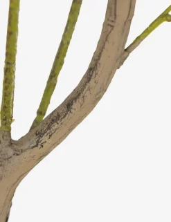 Faux Eucalyptus Tree