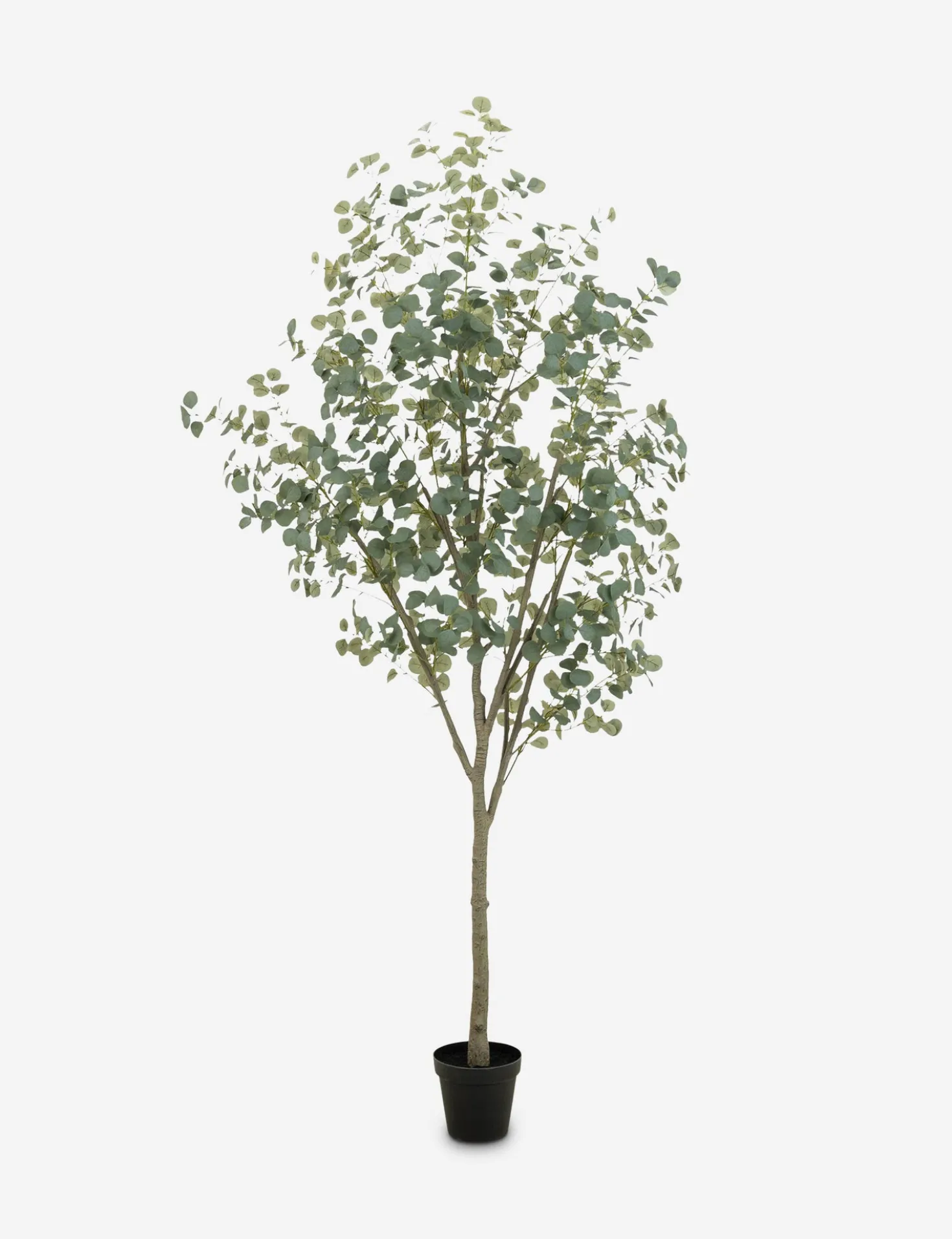 Faux Eucalyptus Tree