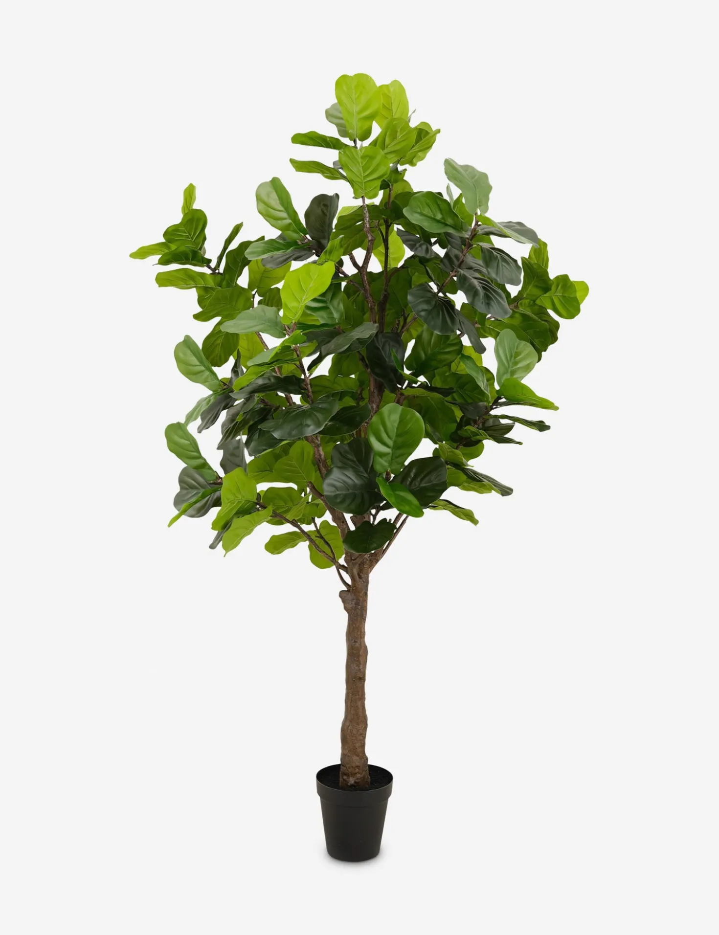 Faux Fiddle Leaf Tree