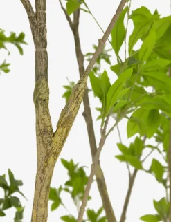 Faux Pieris Tree