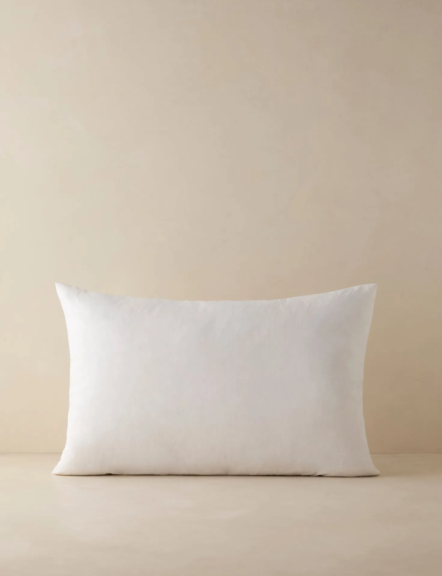 Feather Down Decorative Pillow Insert