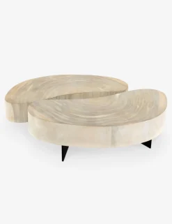 Finley Coffee Table Set