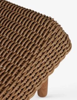 Gally Indoor / Outdoor Dining Chair