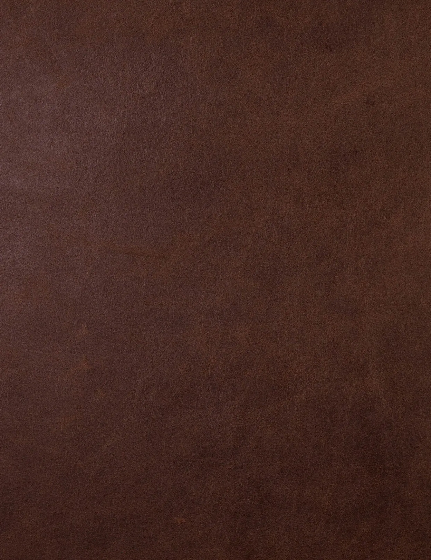 Greylin Dining Chair by Amber Lewis x Four Hands