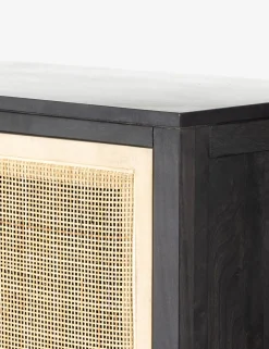 Hannah Narrow Cabinet