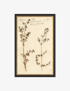 Herbarium B Wall Art
